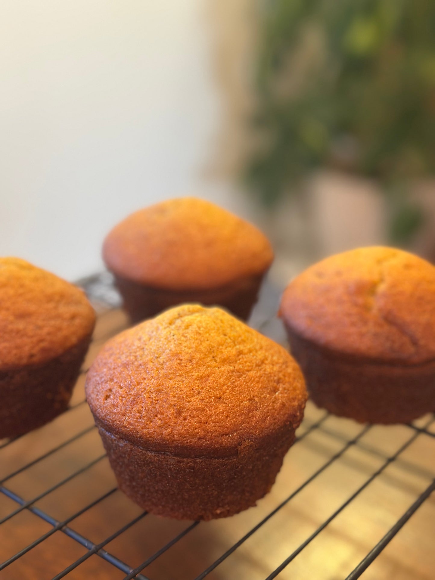 Muffins